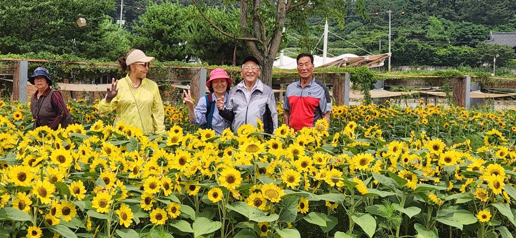 KakaoTalk_20260630_164928158_19.jpg