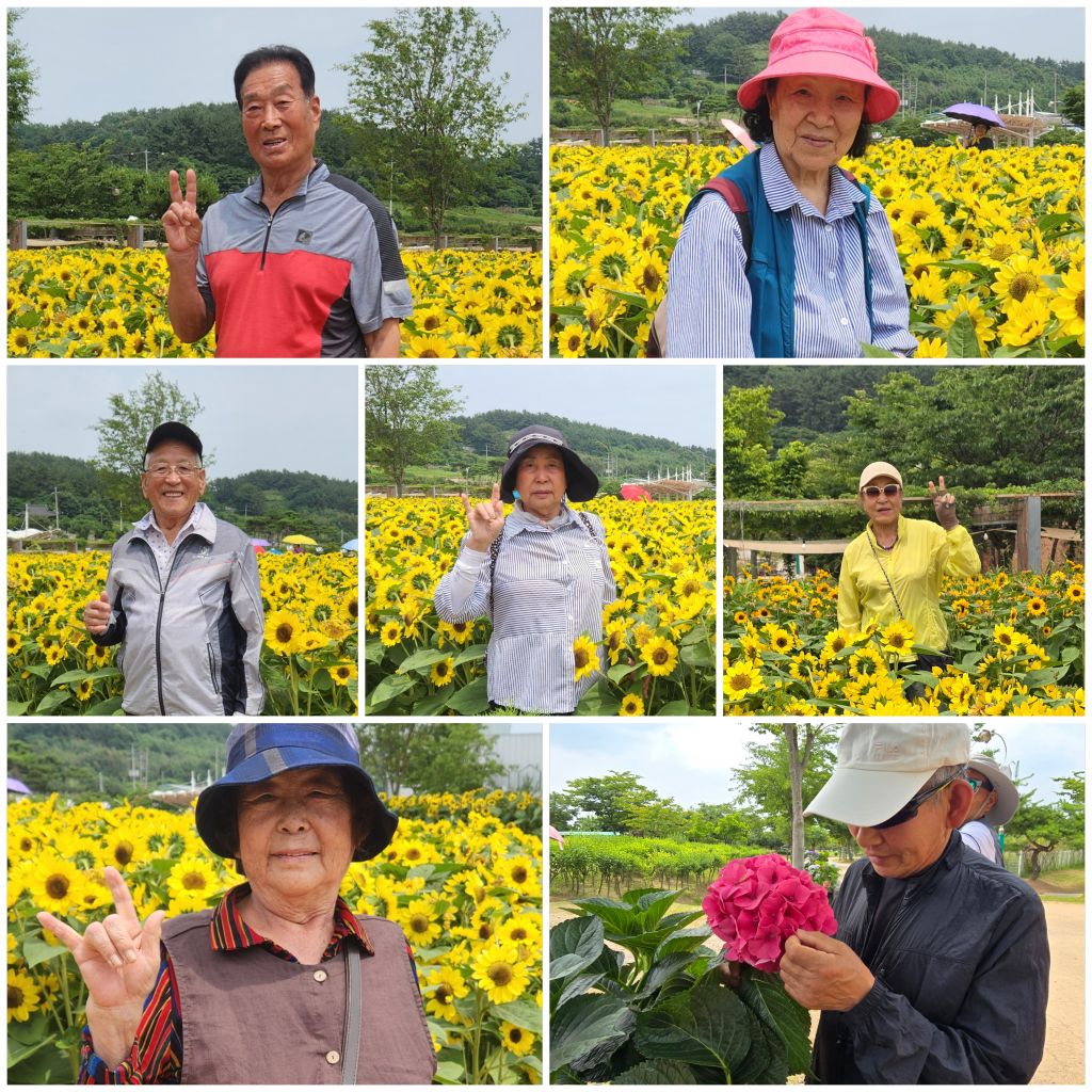KakaoTalk_20260701_213658579.jpg